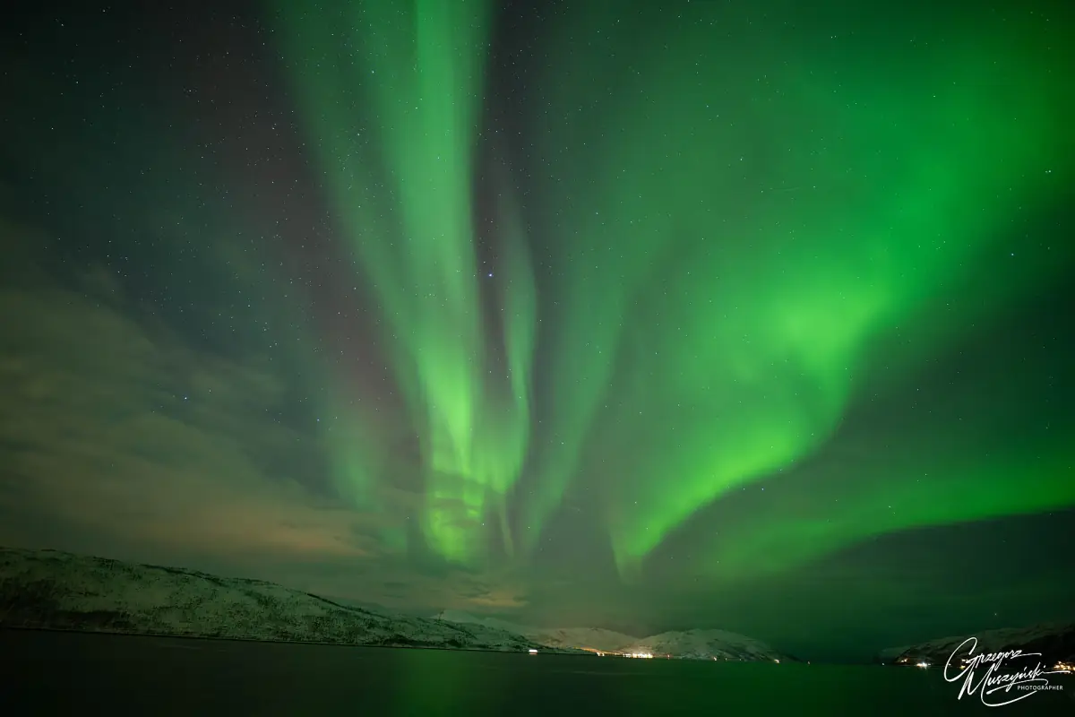 Green northern lights over a dark fjord