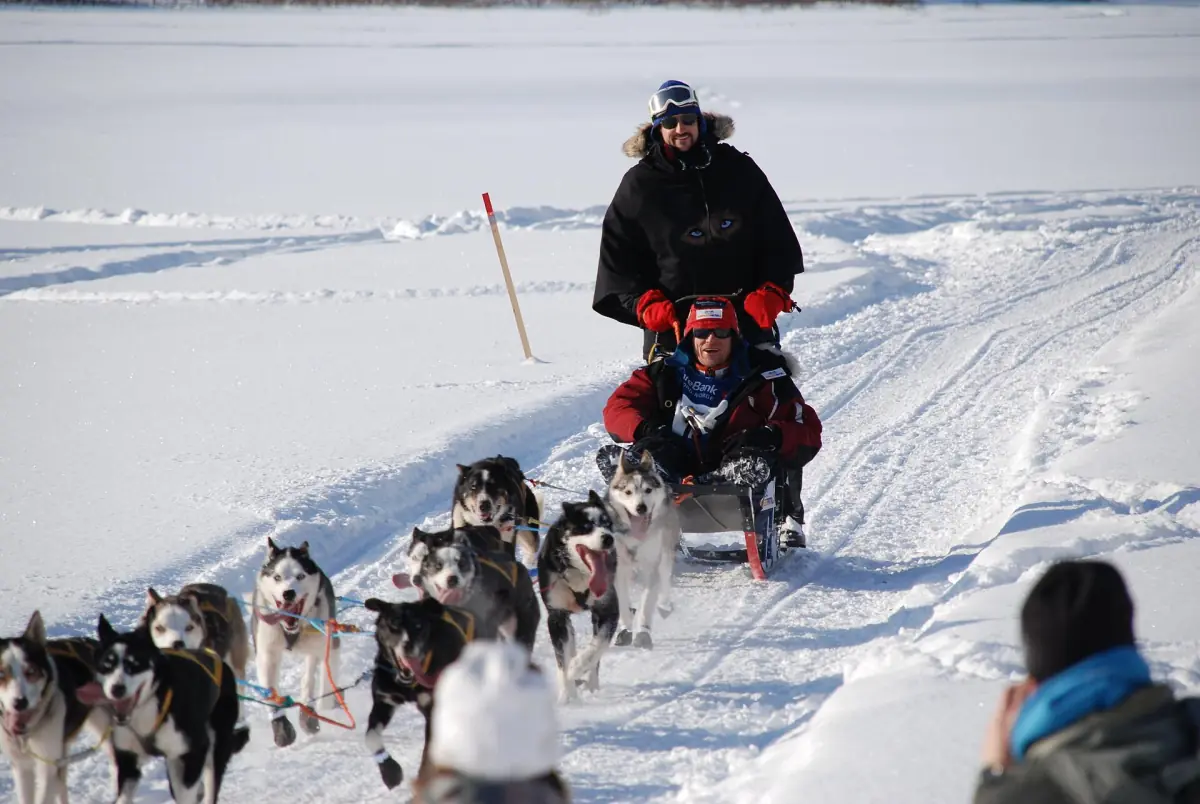 A musher and his dog team on a snowy track in Finnmark