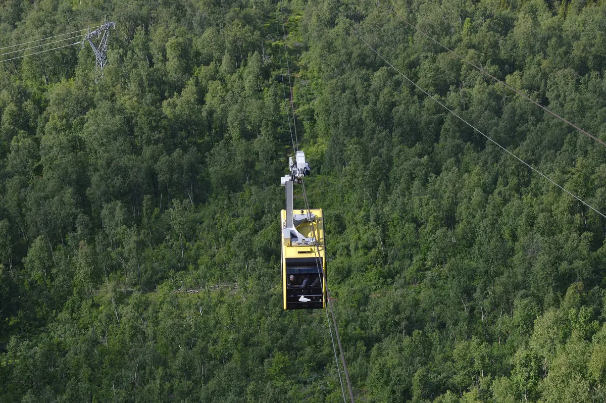 Eine Kabine der Seilbahn Fjellheisen über dem Wald